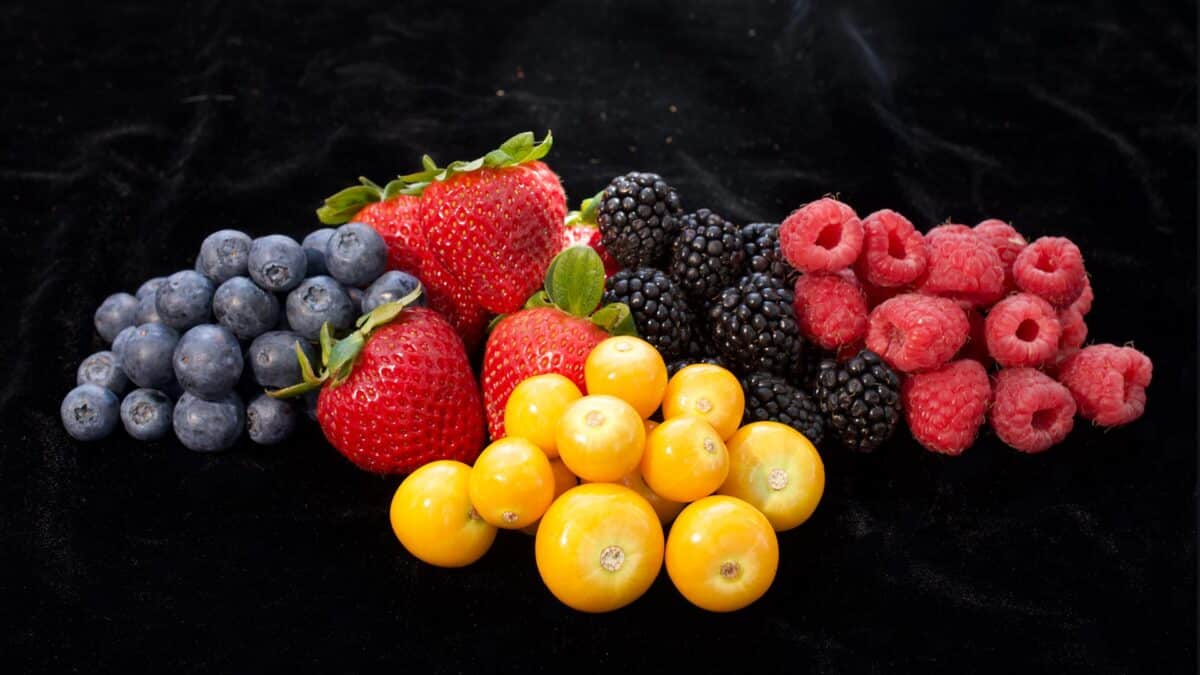 Goldenberries have been eaten for at least several centuries in Colombia and Peru, dating back to the days of the Incan Empire. As shown here, the fruit is comparable in size to many of the most popular berries consumed today.