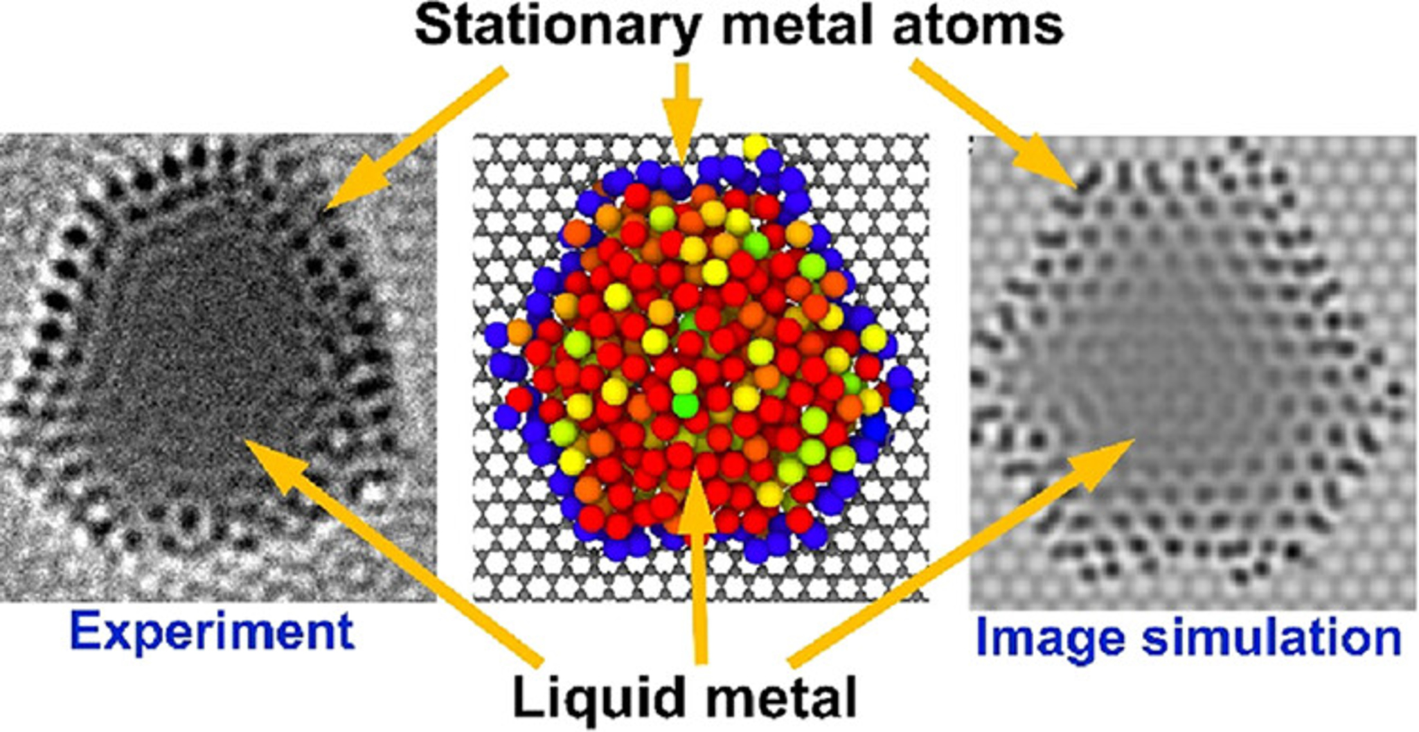 Liquid metal atoms
