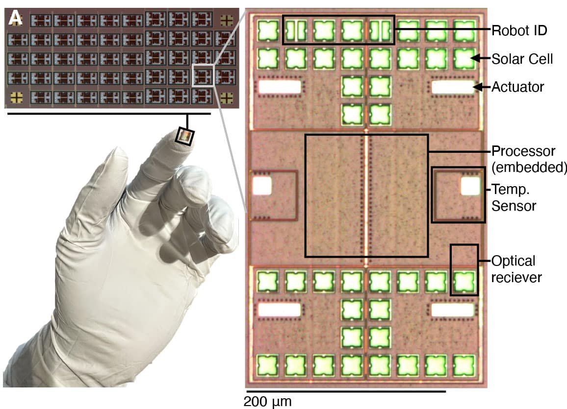 In the bottom left, a white gloved hand holds a rectangle with tiny, dark details on the tip of the index finger. In the first inset, 66 rectangles are printed with electronics, and 18 of these are identical to the one featured in the next inset.

In the detailed view of the top of the microbot, 16 green-outlined squares are the solar cells/optical sensors and two actuators that look like white rectangles make up the top third. The middle third is composed of the square processor in the center and a temperature sensor on each side. The bottom third contains 20 more solar cells/optical sensors and two more actuators.