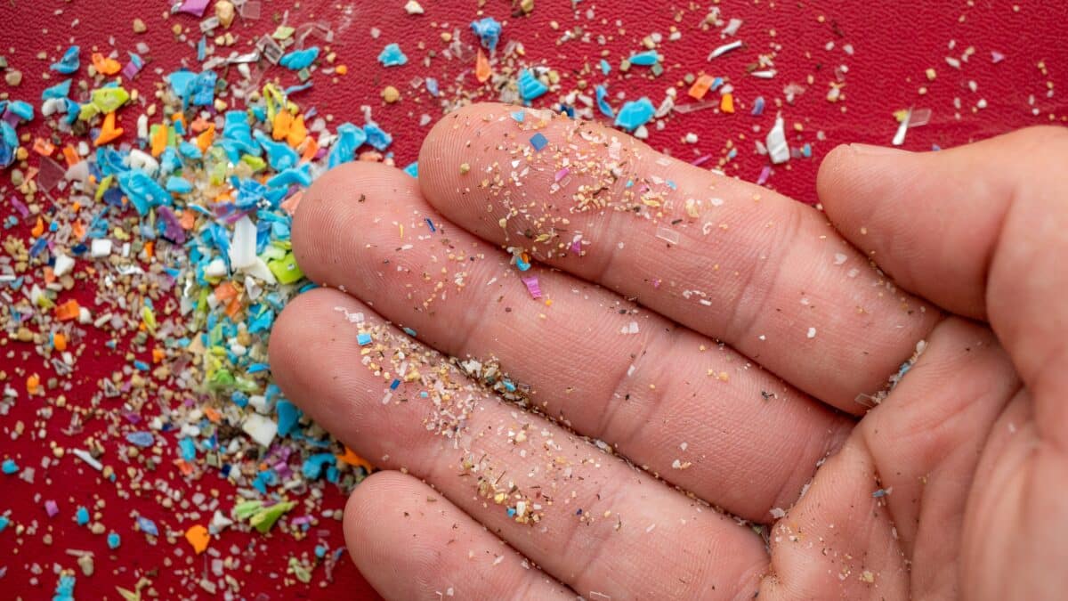 Microplastics in hand