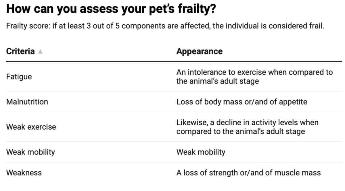 pet frailty