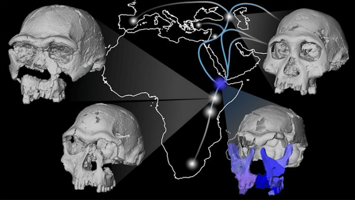 Map showing potential migration routes of the human ancestor, Homo erectus, in Africa, Europe and Asia during the early Pleistocene.