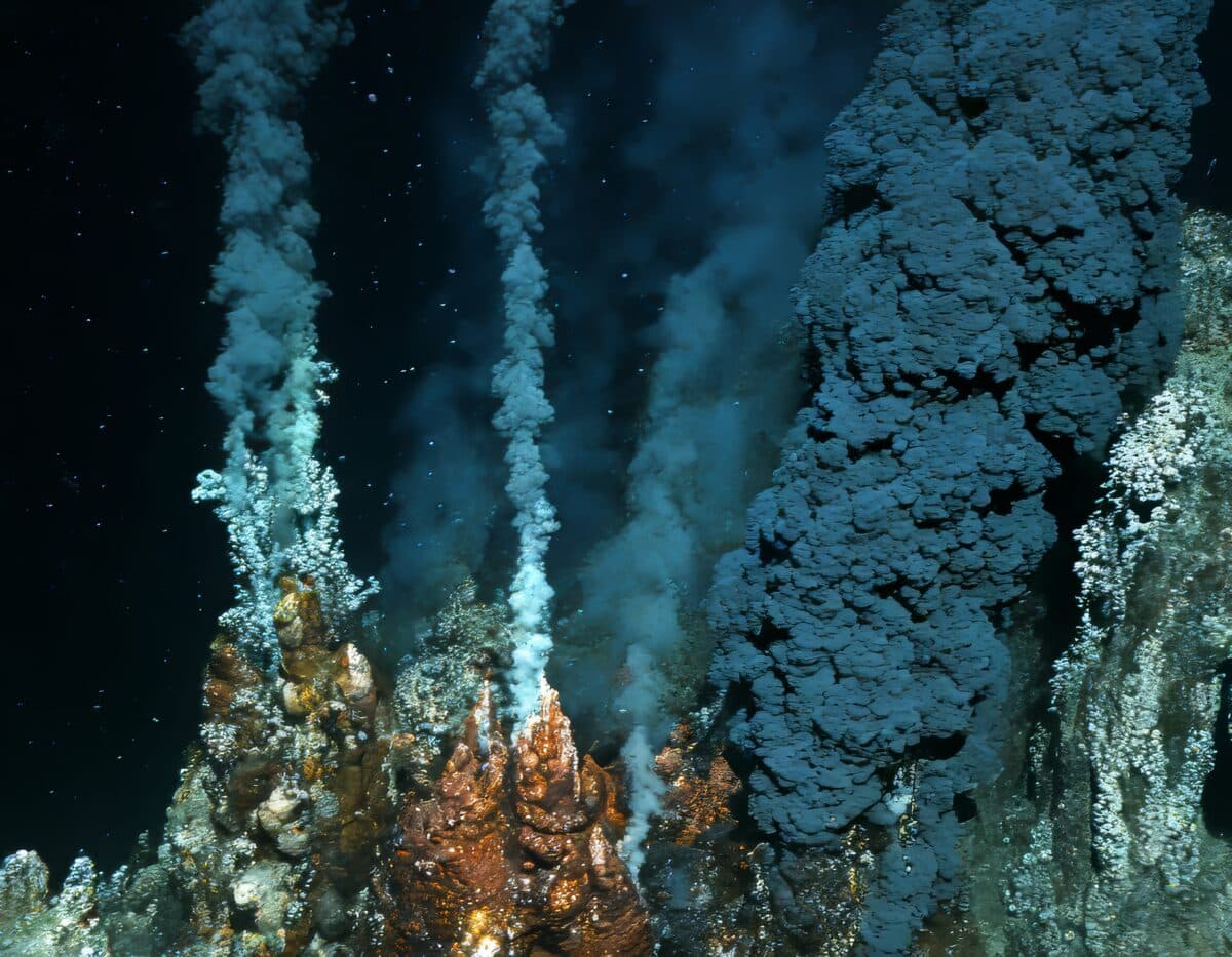 Deep sea veins