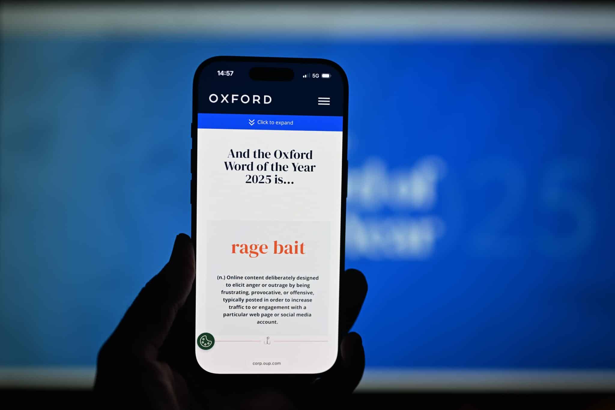 Rage Bait: The Psychology Behind Social Media’s Angriest Posts