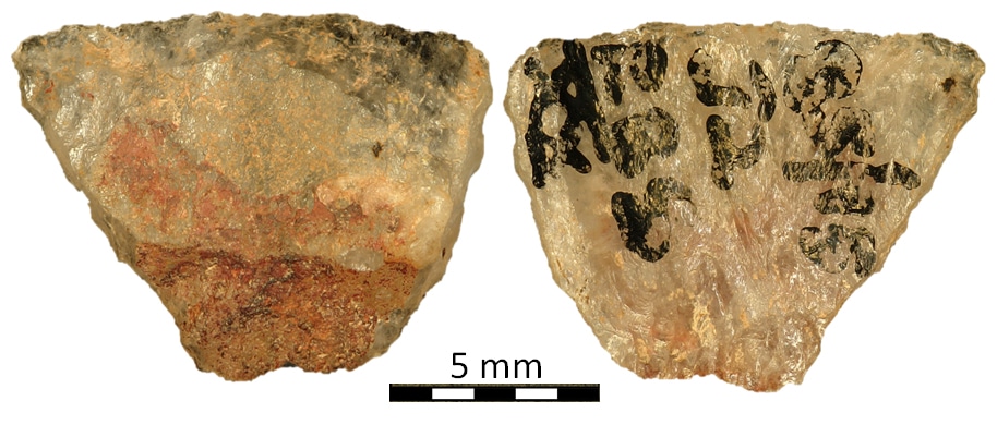 ancient poison arrowhead