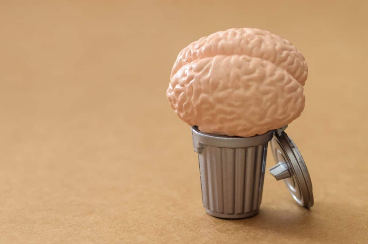 brain rot