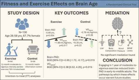 Aerobic Exercise Makes The Brain Younger, Scientists Just Can't Explain Why