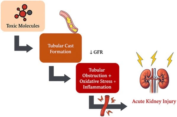 fluid distribution