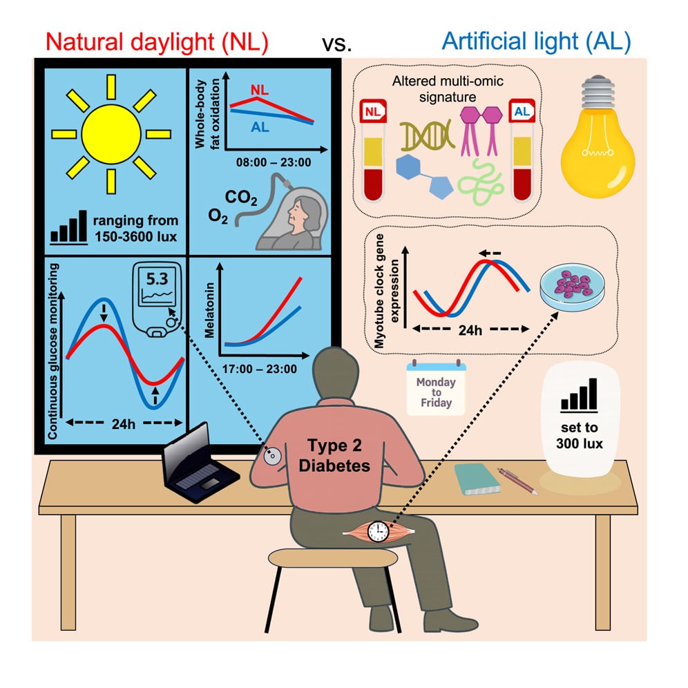natural office light diabetes