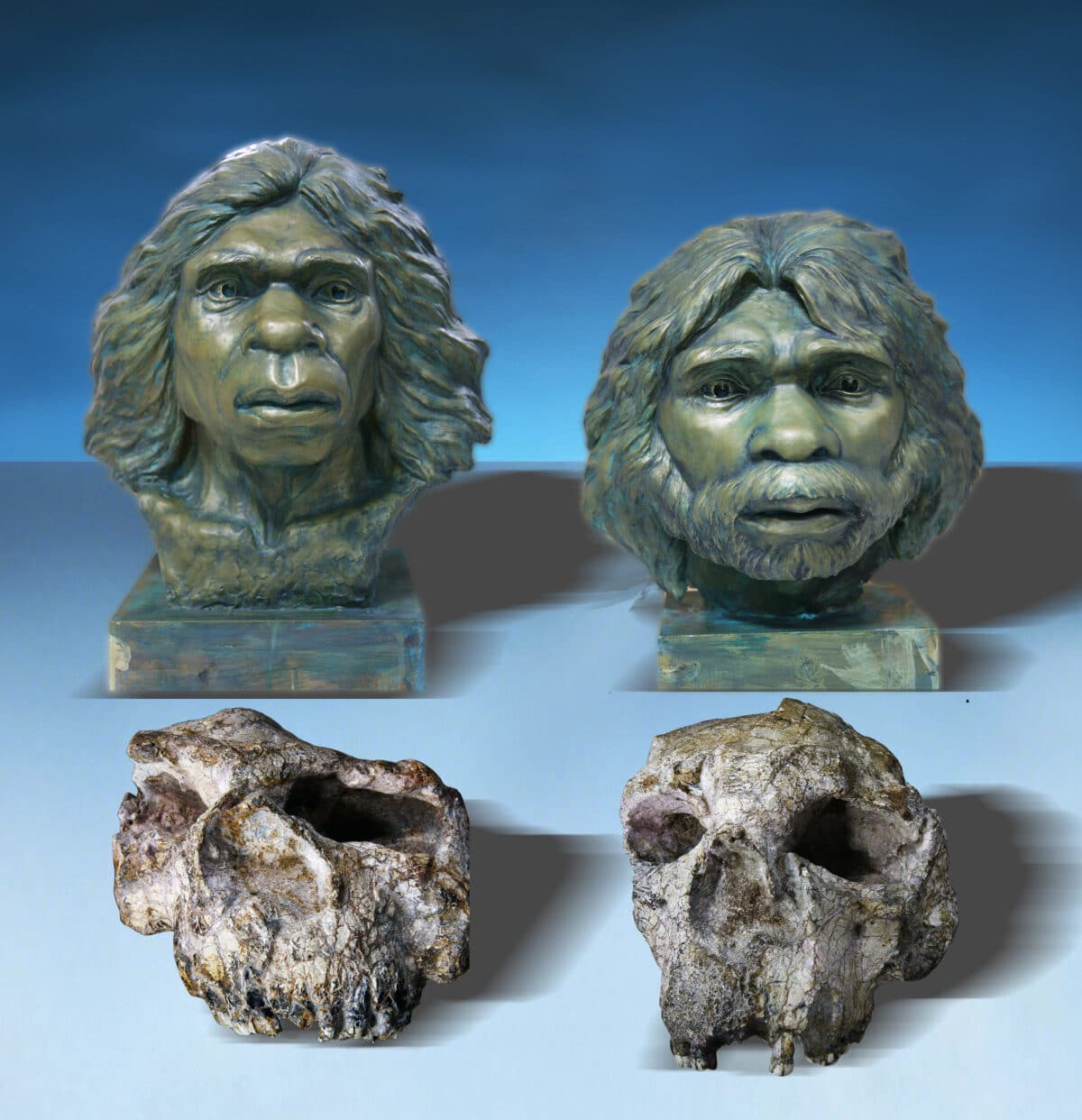 Reconstruction of the Yunxian Homo erectus