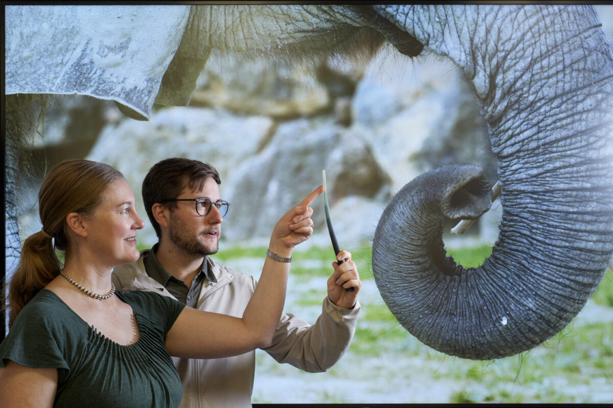 Photograph of Prof. Katherine J. Kuchenbecker (left) and Dr. Andrew K. Schulz (right) with the 3D-printed whisker wand that helped the research team understand how a functional gradient of material stiffness could facilitate contact sensing in elephant and cat whiskers.