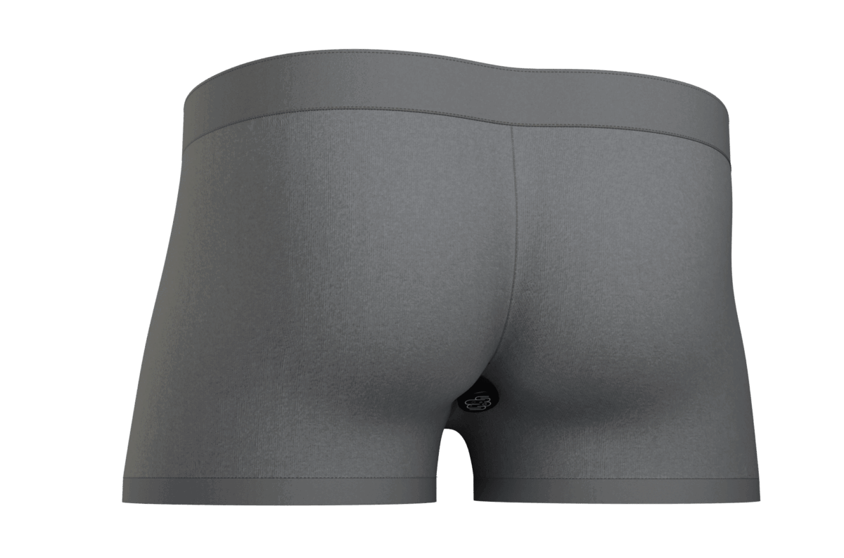 Smart Underwear model.