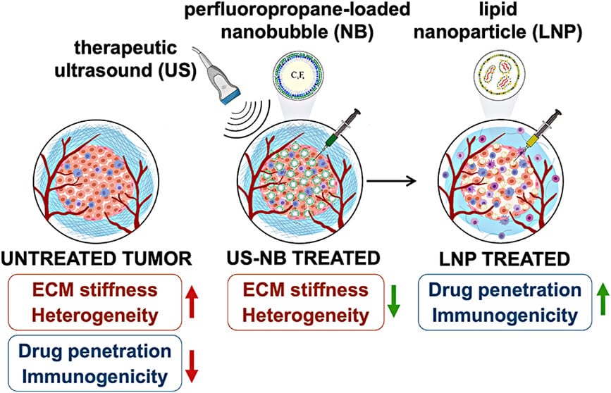 cancer bubbles treatment