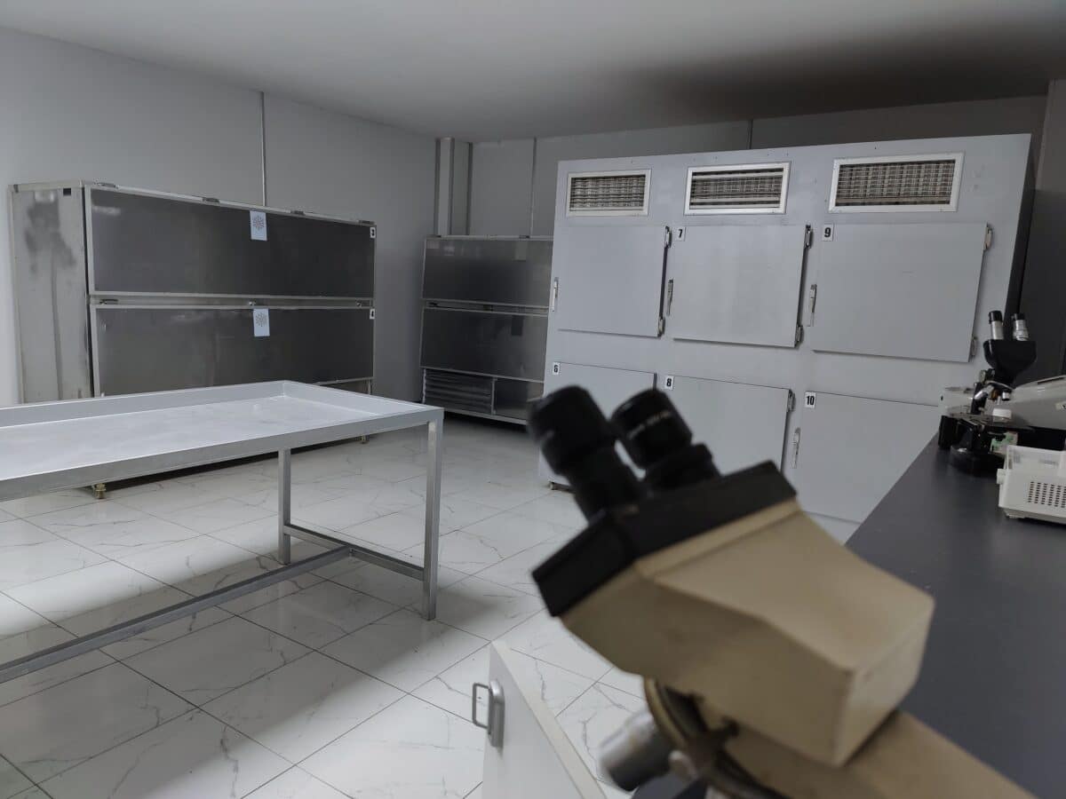 morgue