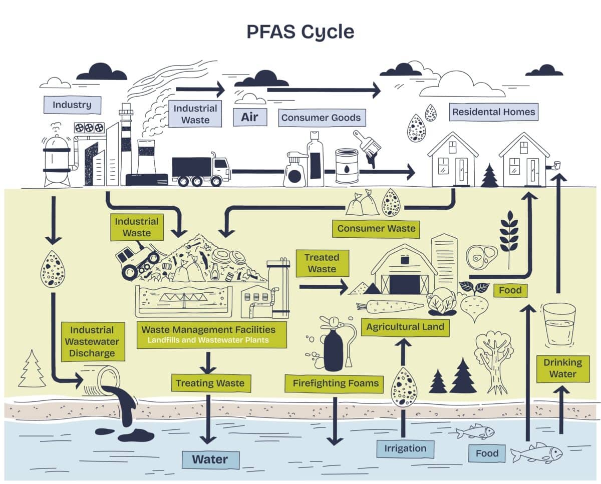 PFAs
