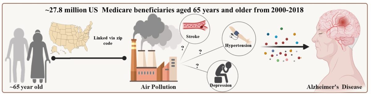 smog brain