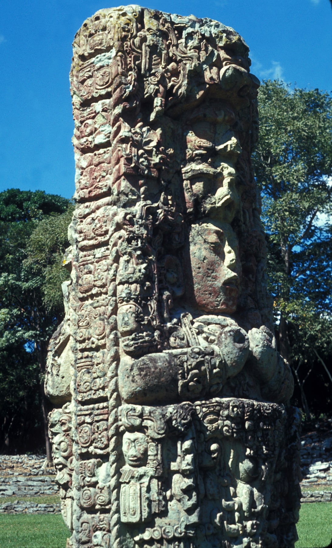 Copan Stela C