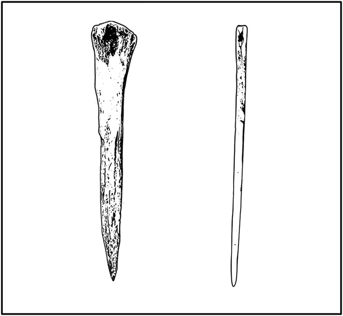 bone needle
