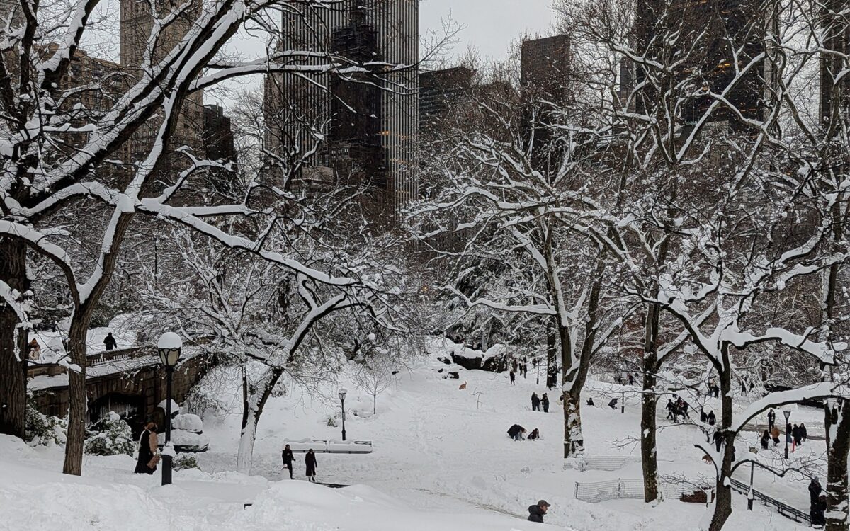 snow NYC