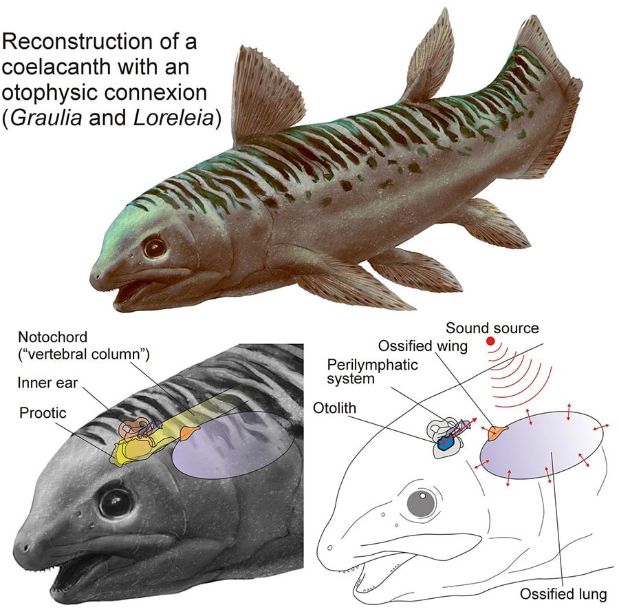 prehistoric fish