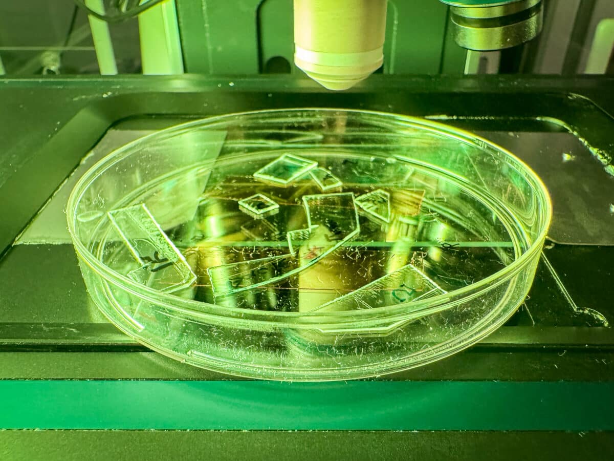 virus killing plastic