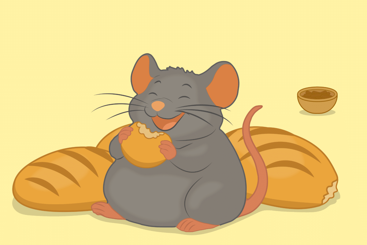 wheat mice