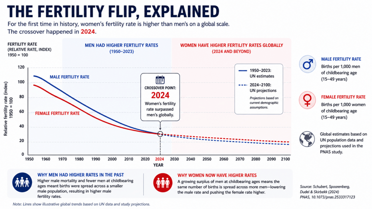 Fertility rate flip infographic