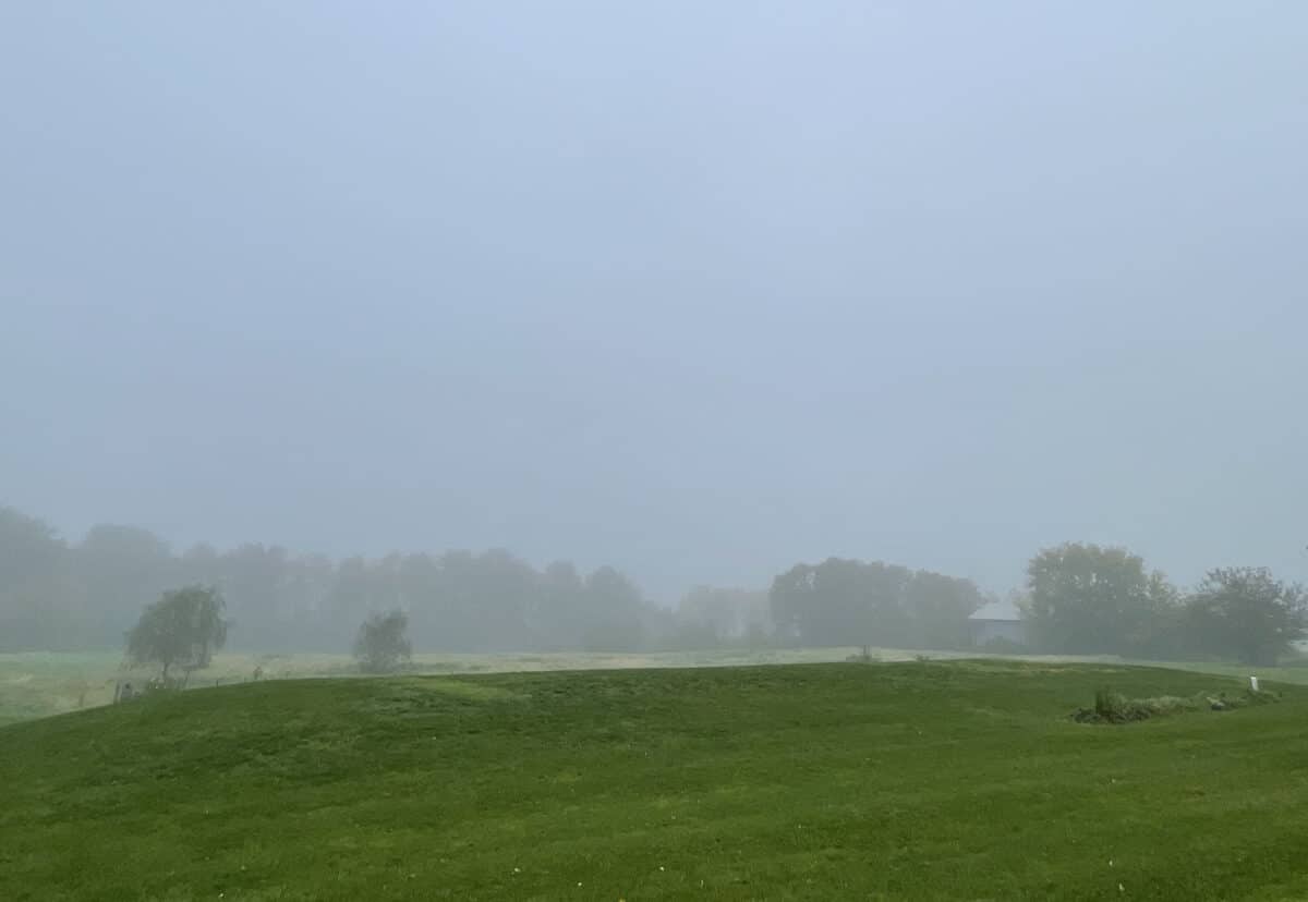 Fog-field