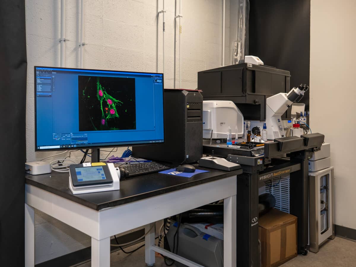 Imaging Chromatin