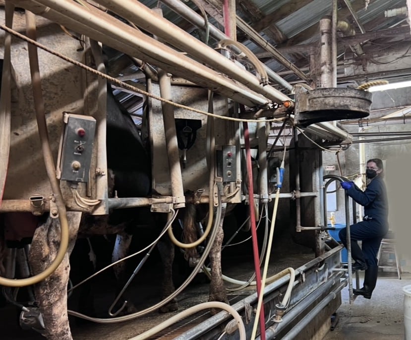Meredith dairy parlor