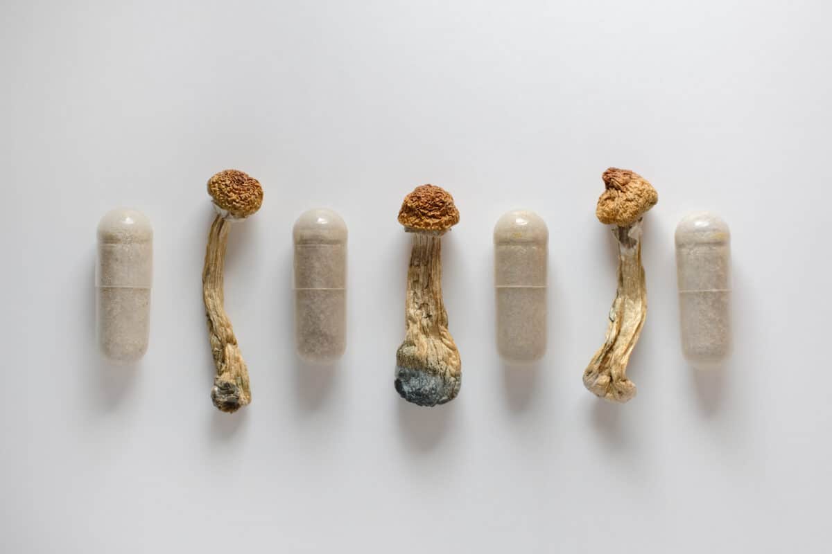 Psilocybin capsules with ‘magic’ mushrooms