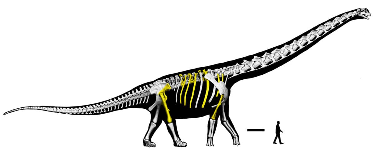 negatitan