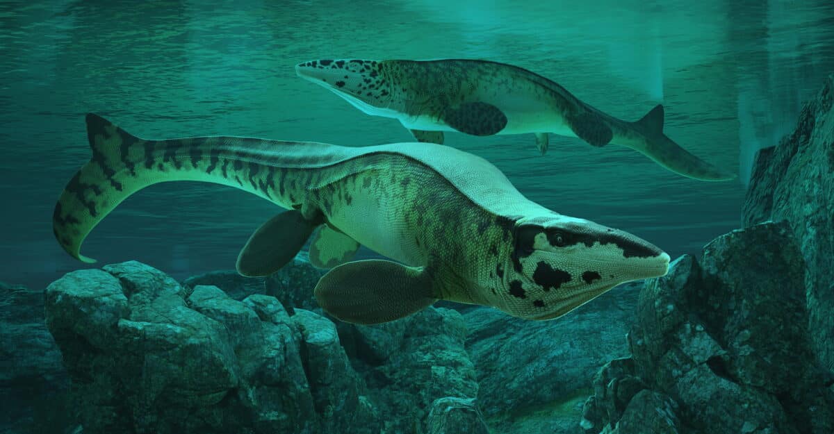Tylosaurus rex reconstruction Path of Titans