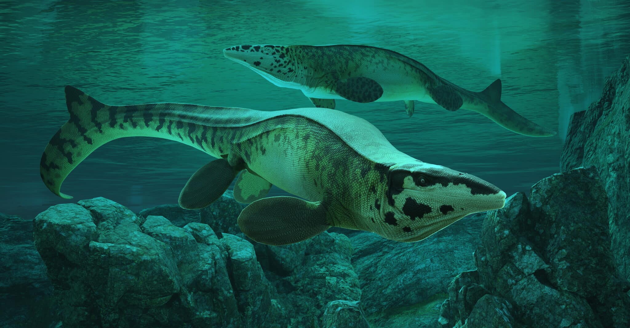 Turtle Rex Another T-Rex: Ancient Texas Was Home To Gigantic Sea Predator
