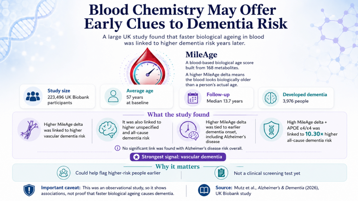 blood chemistry infographic