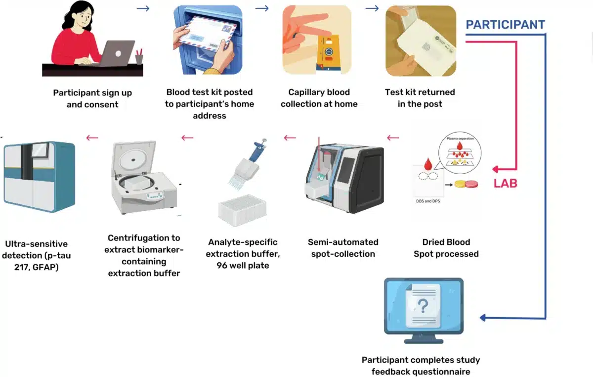 blood test dementia