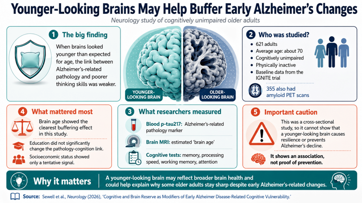 brain age infographic