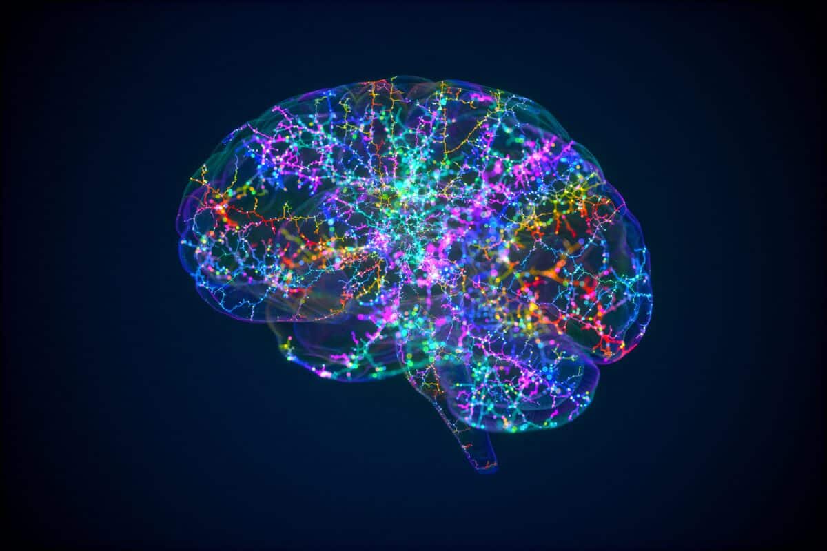 brain colorful