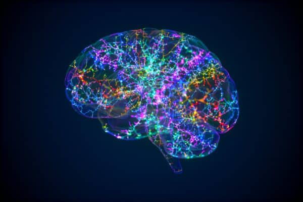 brain colorful