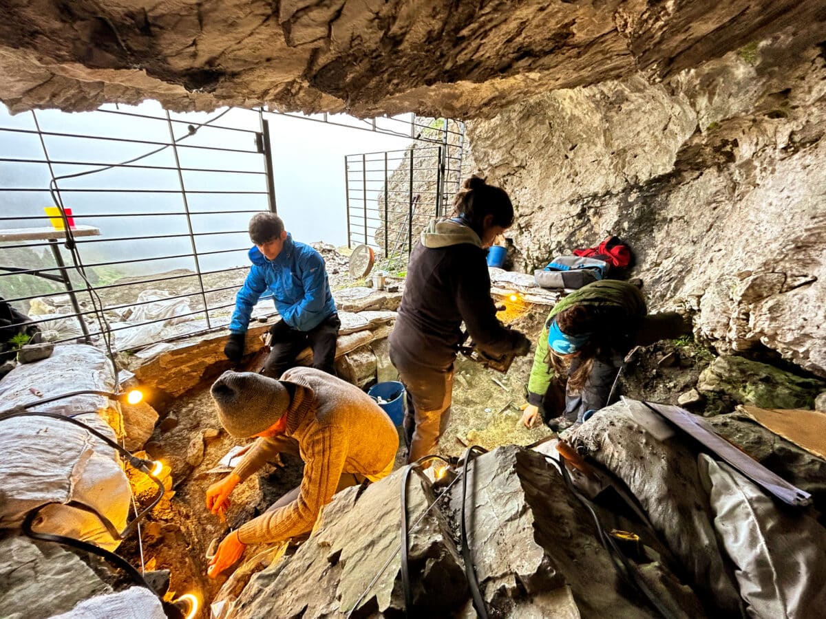 cave 338