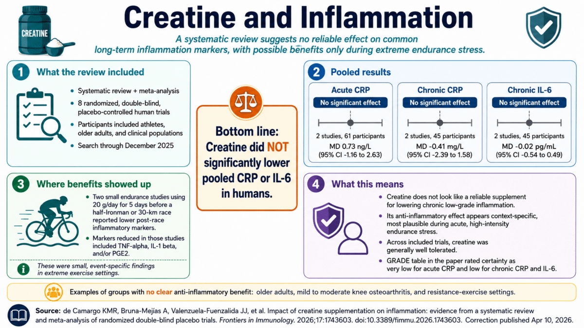 creatine infographic