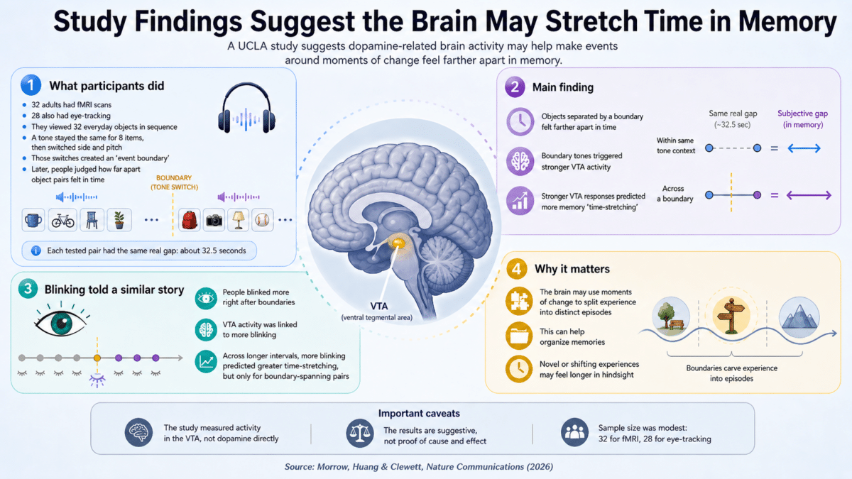 dopamine time infographic