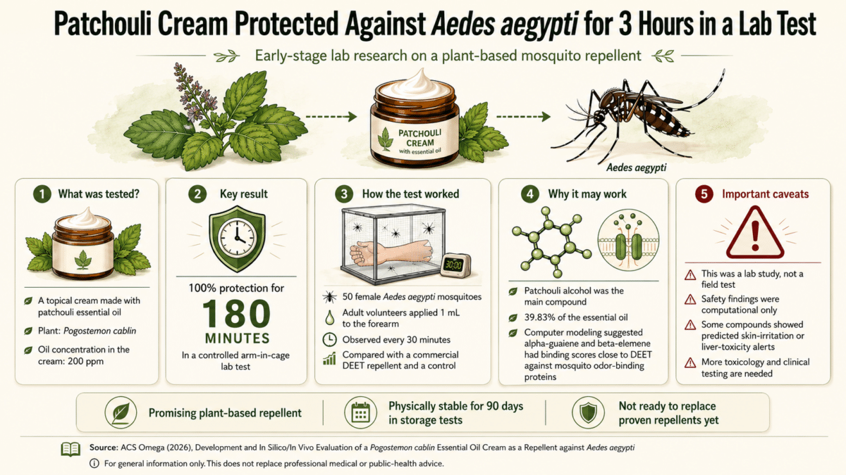 mosquito infographic