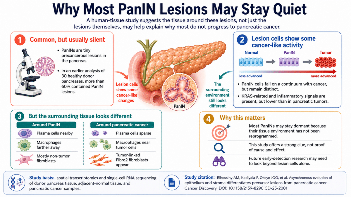 pancreas infographic