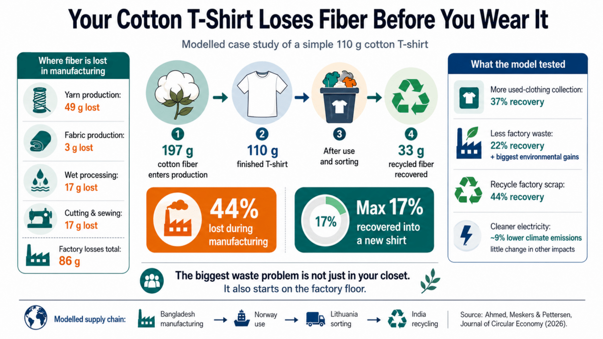 shirt infographic