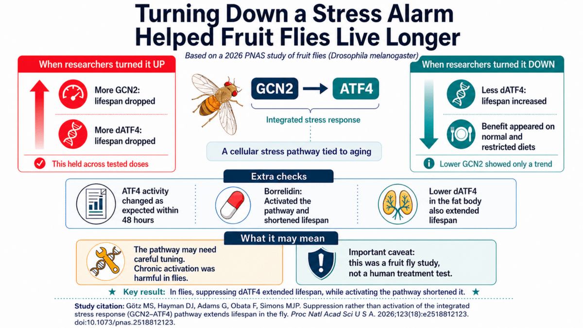 stress longevity