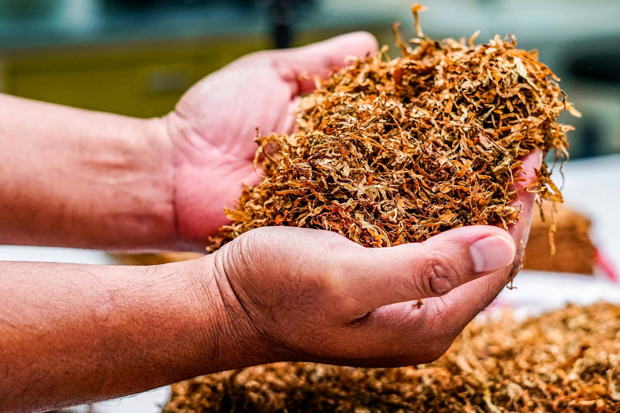 After Nearly 200 Years, Scientists Finally Know How Tobacco Plants Produce  Nicotine