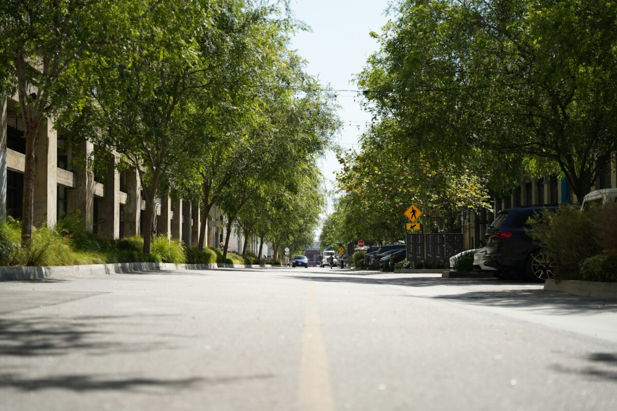 trees