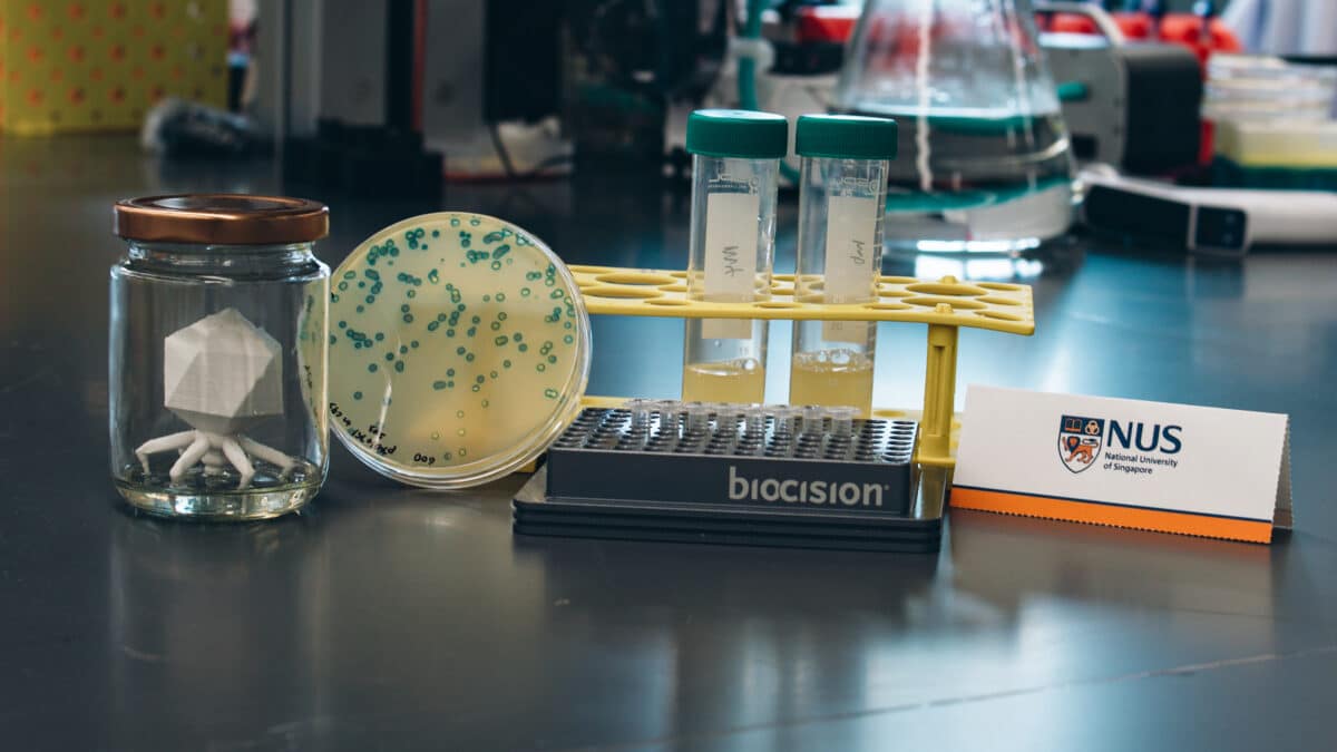 virus killing bacteria