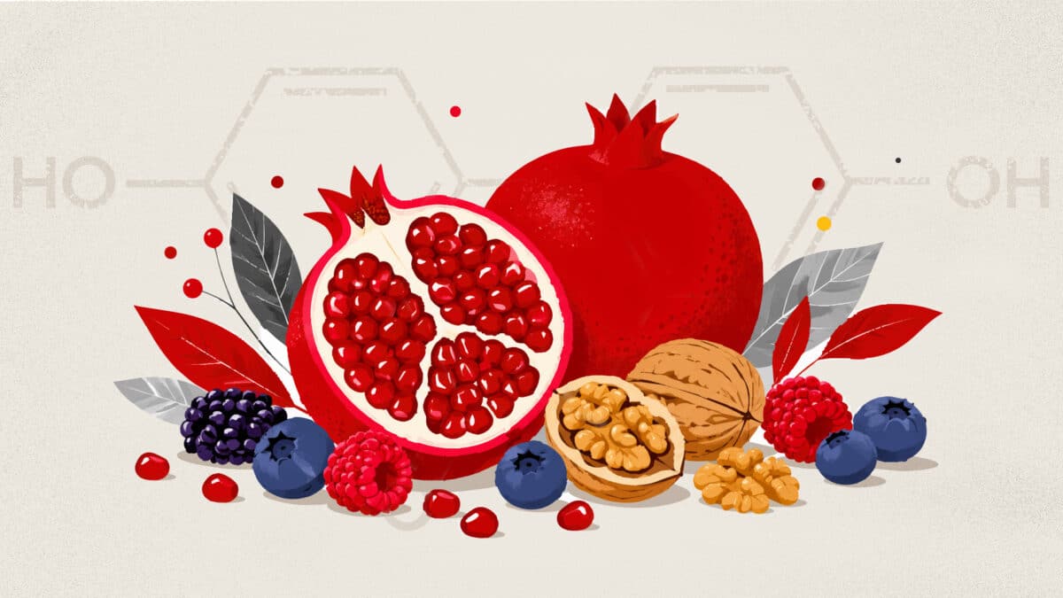 Pomegranates, walnuts and berries and the chemical structure of urolithin A